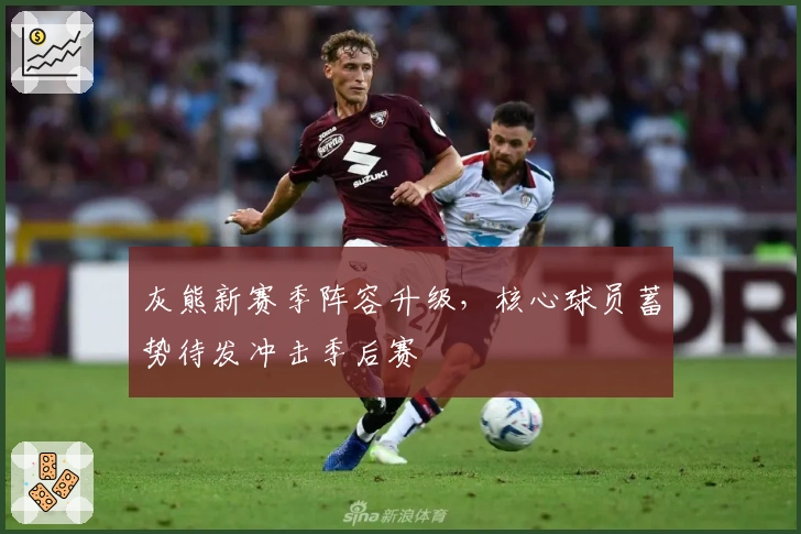 灰熊新赛季阵容升级，核心球员蓄势待发冲击季后赛